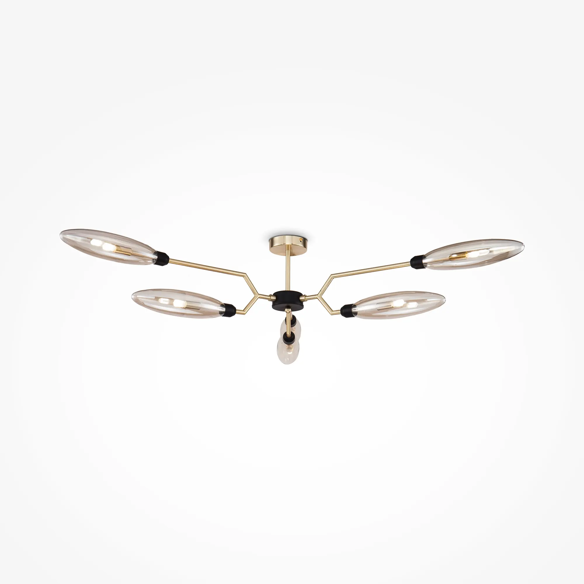 Потолочный светильник Maytoni MOD012CL-06G