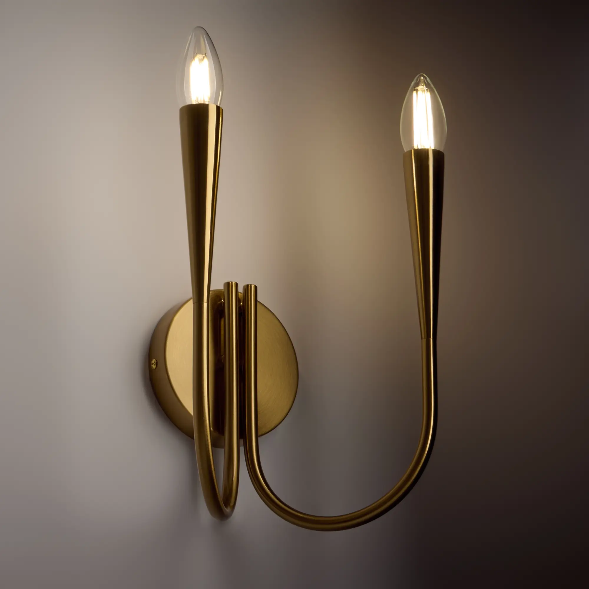 Настенный светильник (бра) Freya FR5253WL-02BS