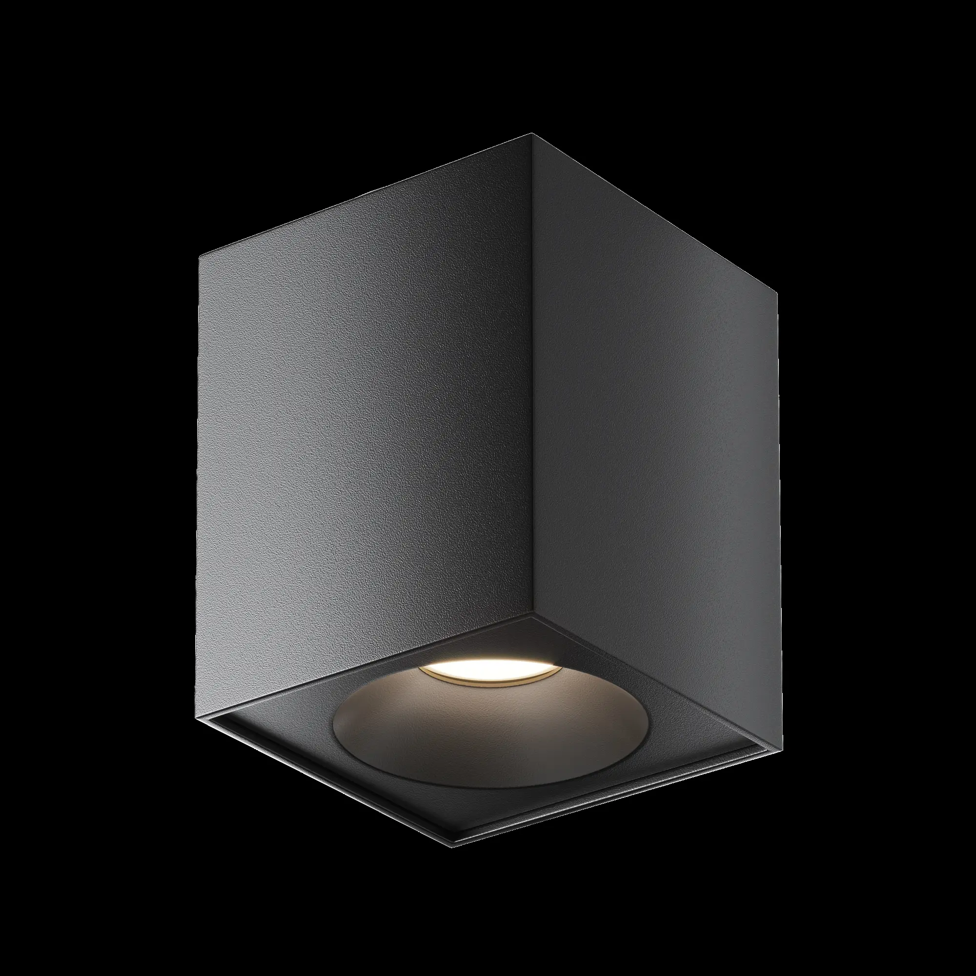 Потолочный светильник Technical C030CL-01B