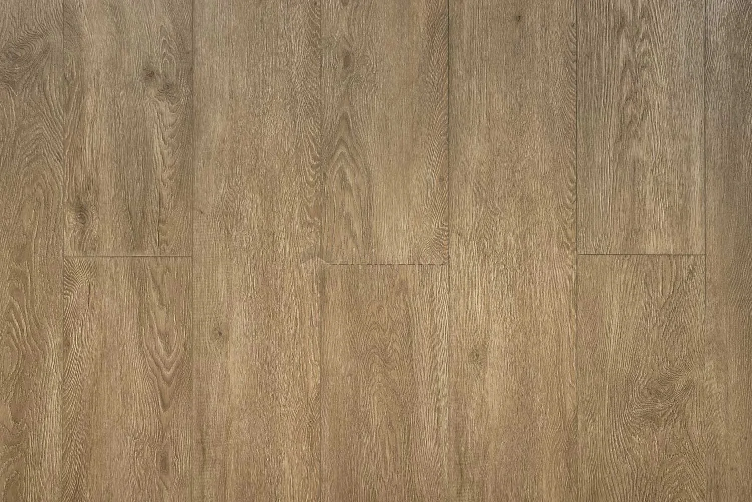 SPC ламинат Alpine Floor Grand Sequioia Superior ABA Макадамия ECO 11-1003 купить