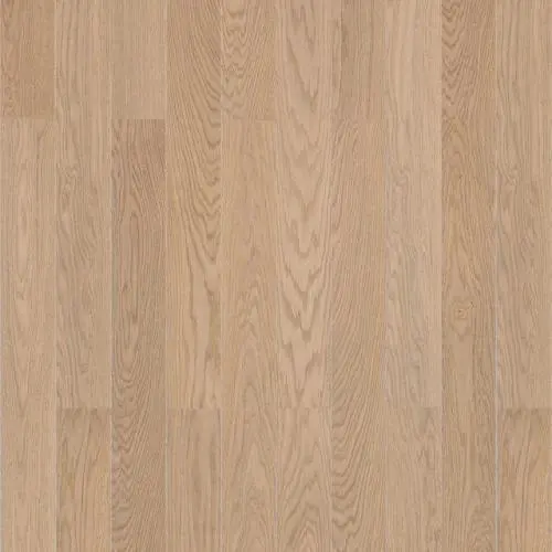 Дуб Песочный цена