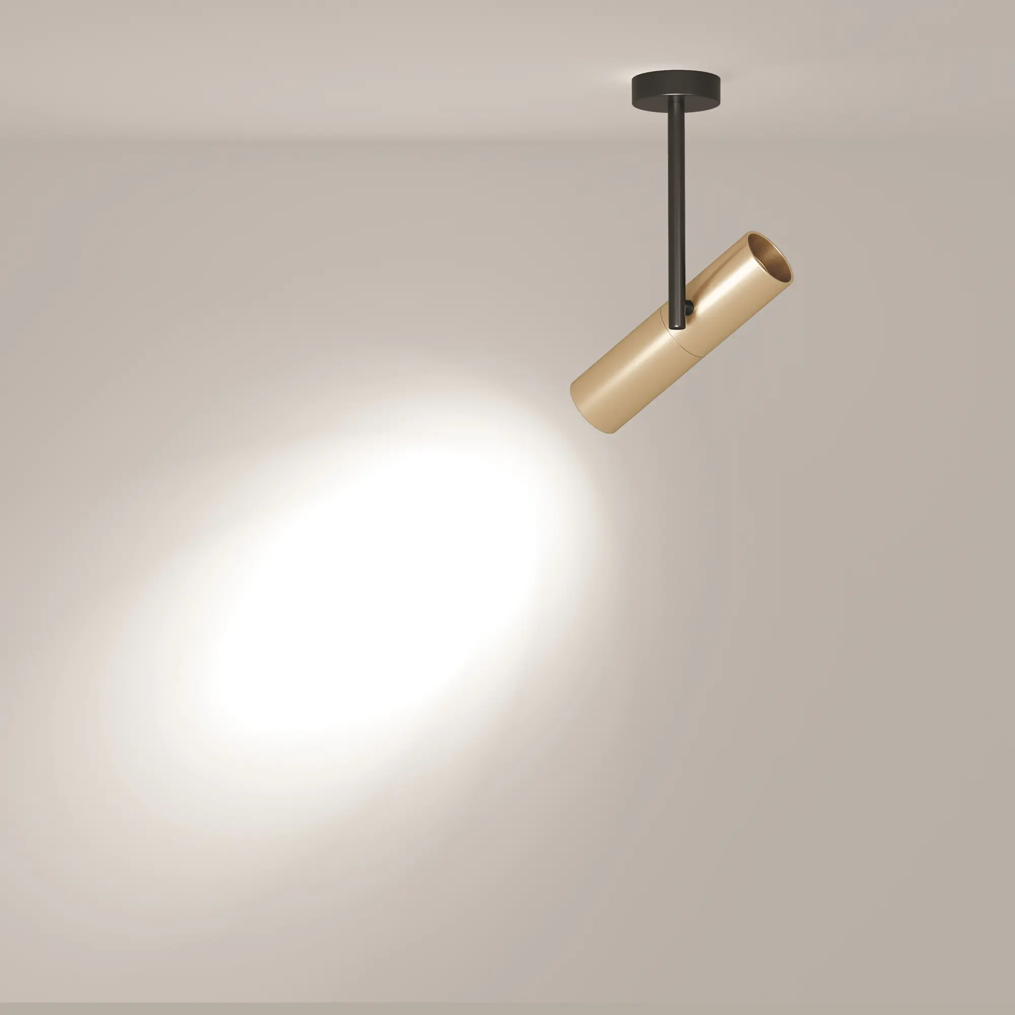 Потолочный светильник Technical C020CL-01GB