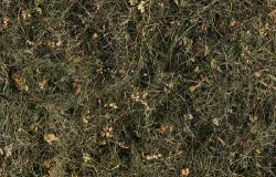 Пробковый пол с дизайном под дерево