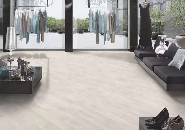 FP0052 Дуб северный в квартире