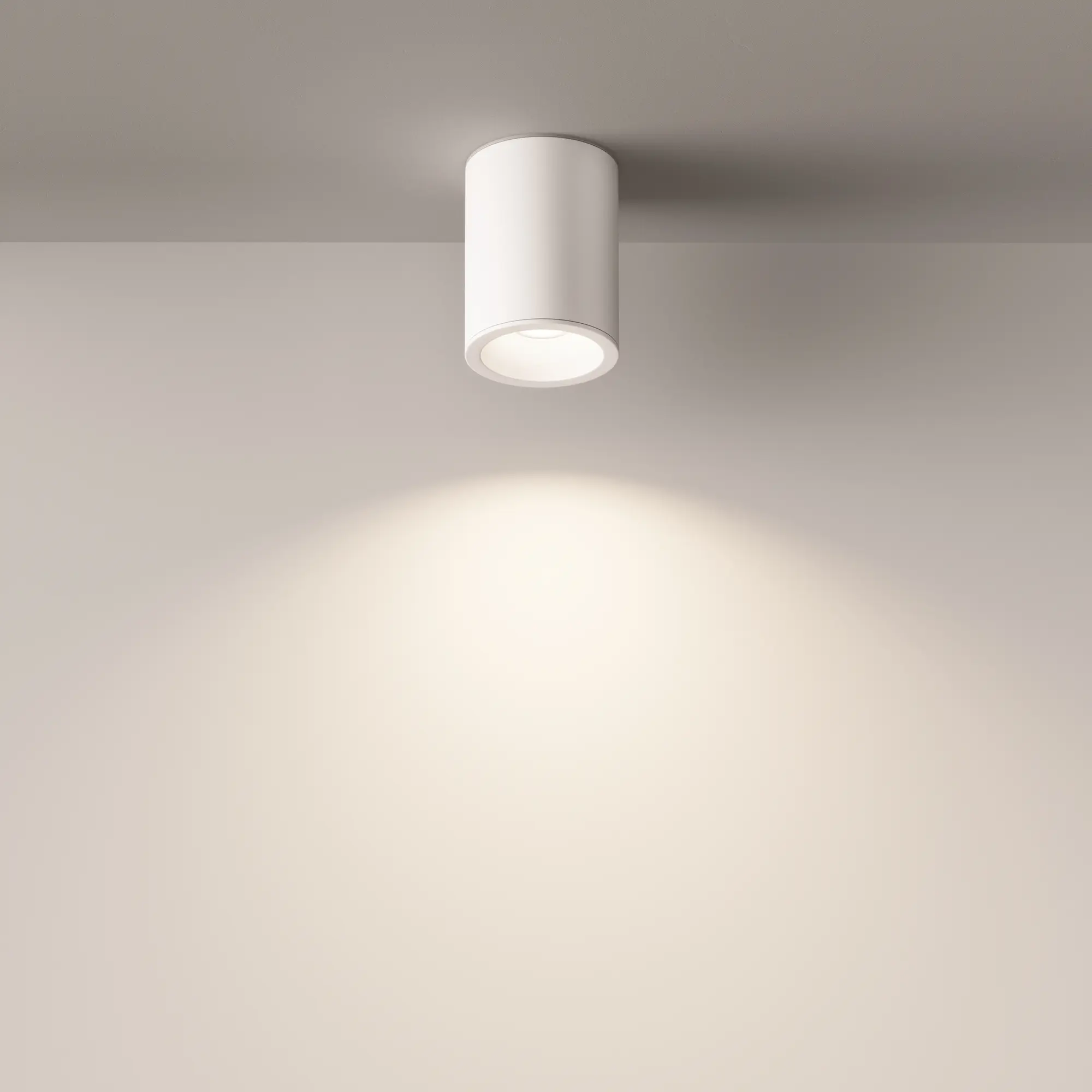 Потолочный светильник Technical C029CL-01W