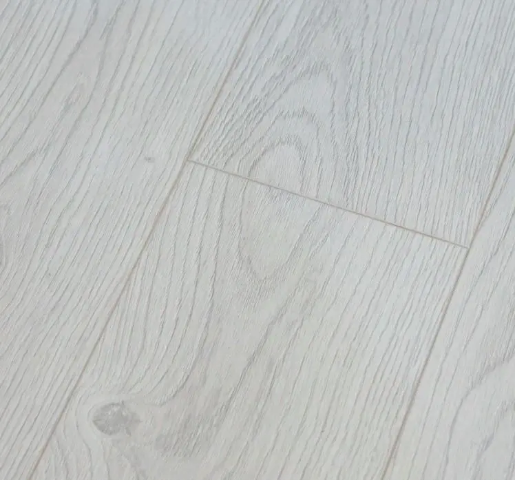 Сосна снежная в квартире