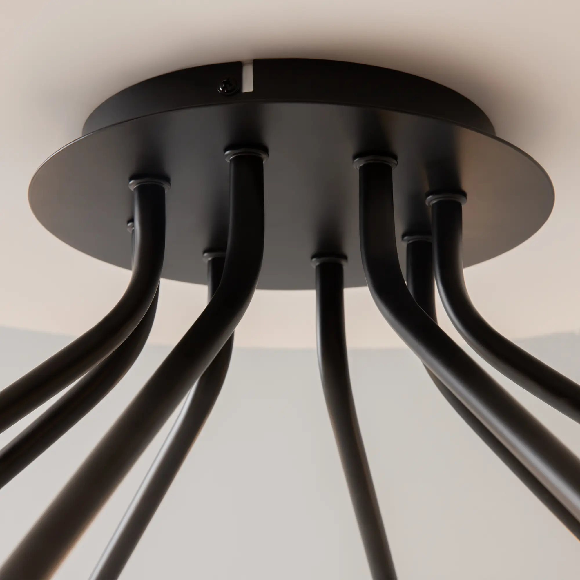 Потолочный светильник Maytoni MOD620CL-16B