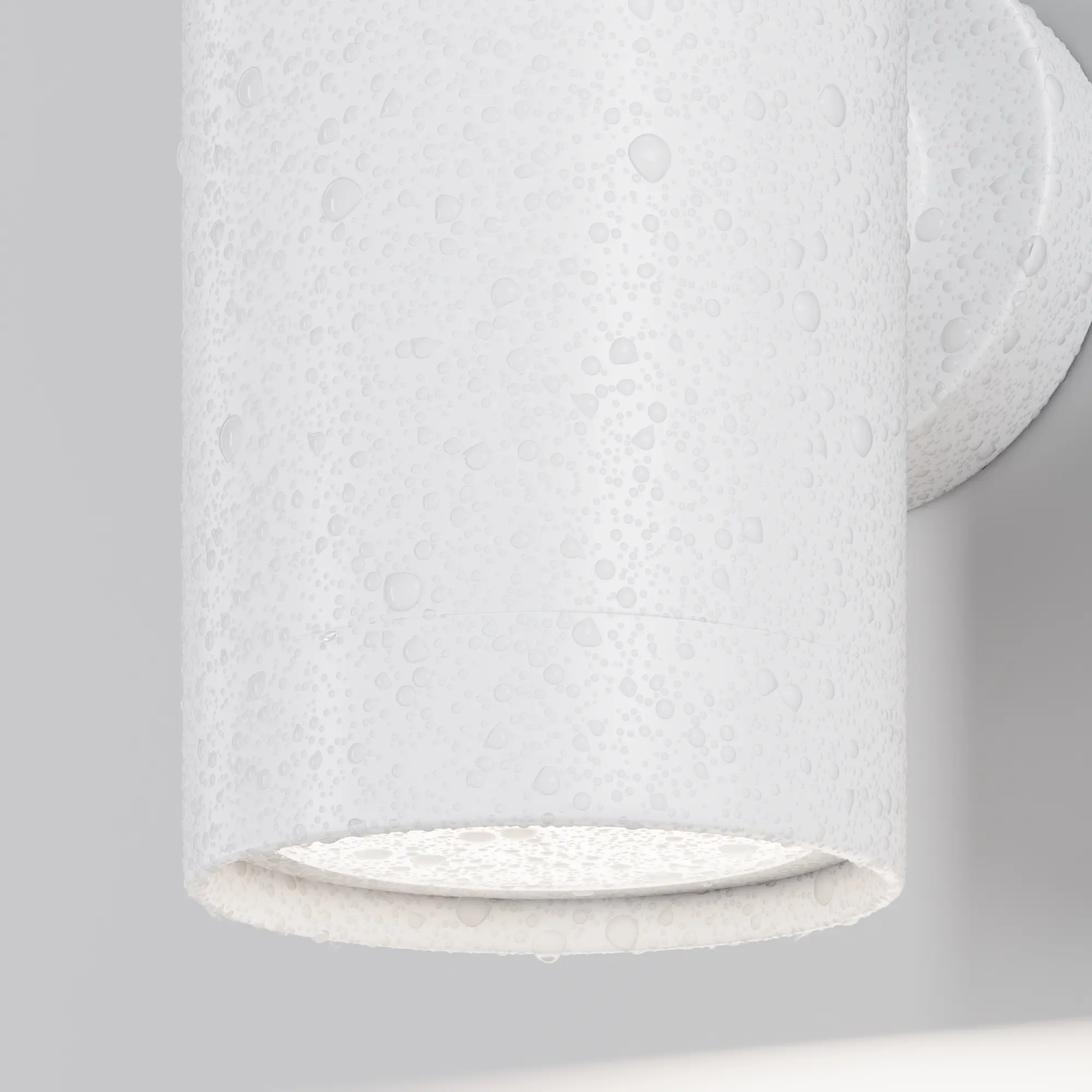 Настенный светильник (бра) Outdoor O493WL-01W