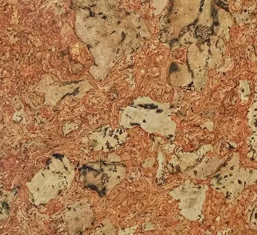 Пробковый ламинат Easycork Леон рохо цена