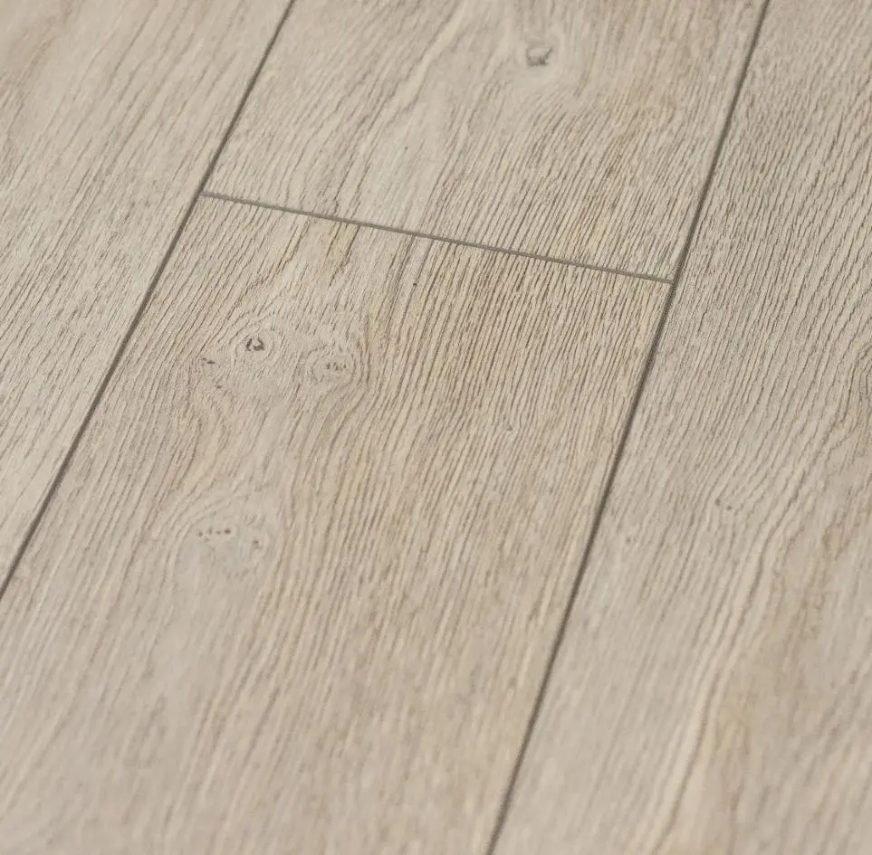 Сосна русская в квартире