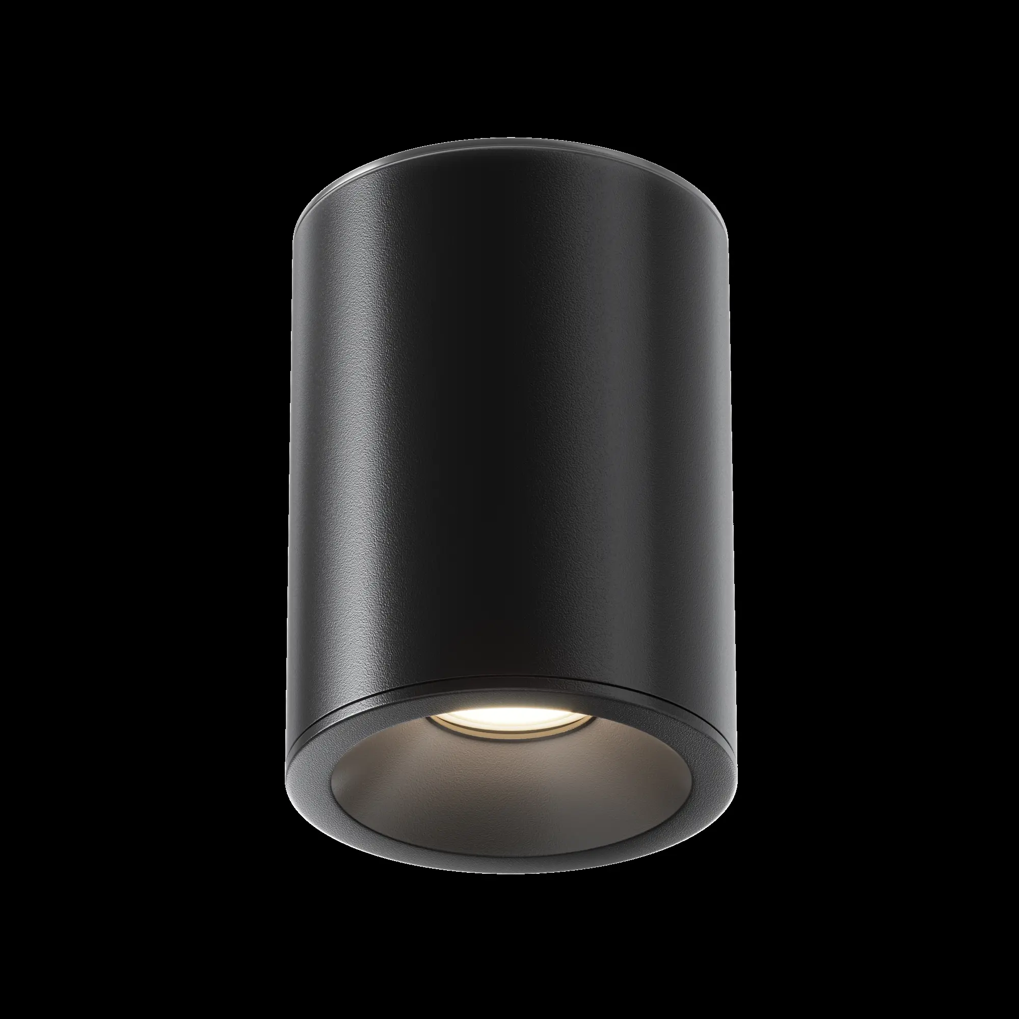 Потолочный светильник Technical C029CL-01B