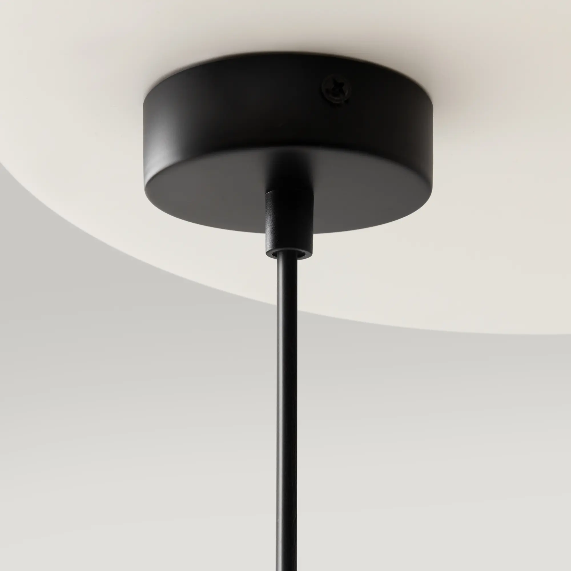 Подвесной светильник Maytoni MOD013PL-04B