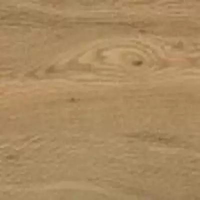 FP0047 Дуб Бомонт рустикальный в интерьере