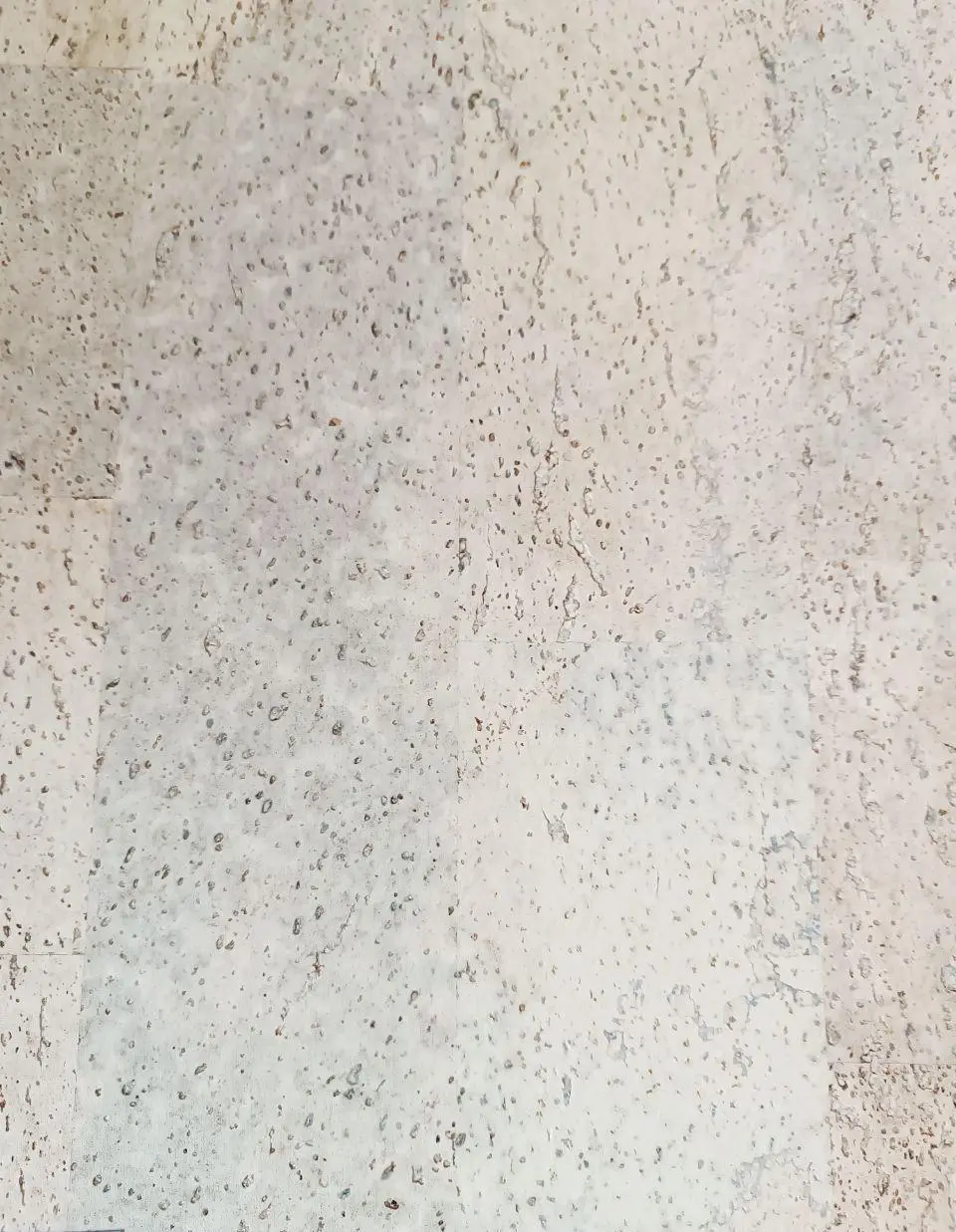 Настенная пробка Wicanders RY1M 001 Malta Champagne цена