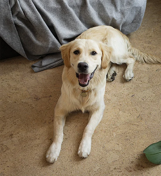 Пробковый пол купить в Екатеринбурге