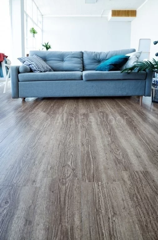 Кварц-виниловый ламинат Alpine floor classic ECO140-8 Клен цена