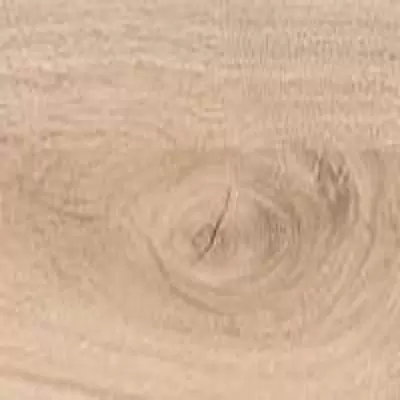 FP0050 Дуб Бофорта в квартире