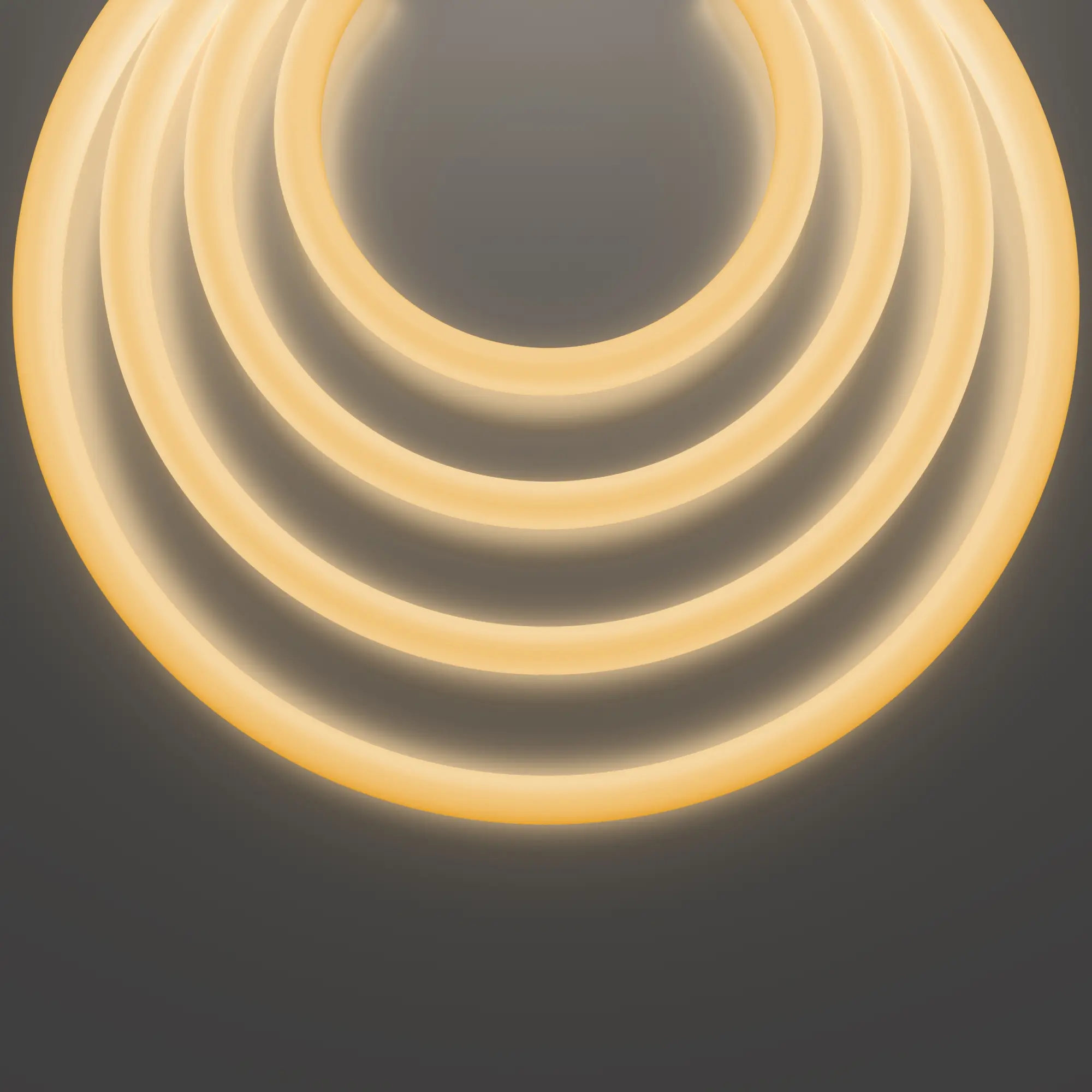 Гибкий неон Led Strip 20300