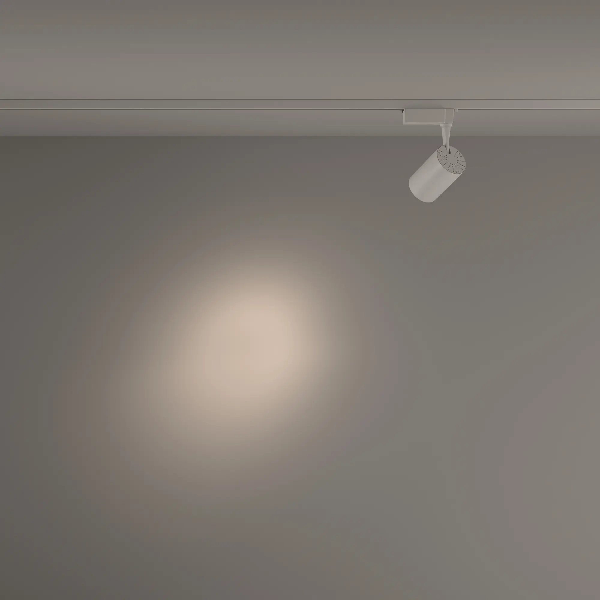 Трековый светильник Technical TR003-1-10W4K-S-W