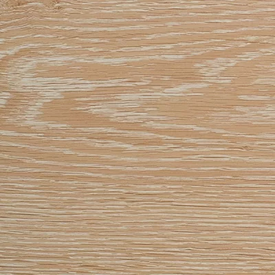 Дуб кавказский в квартире