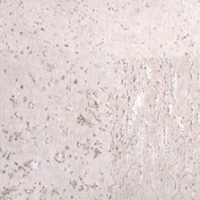 Настенное пробковое покрытие  CORKART PW 386c WS