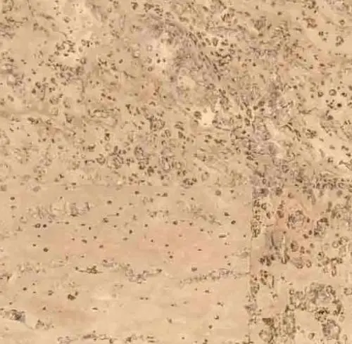 Клеевой пробковый пол 6 мм IberCork Саламанка крем 6 SG цена