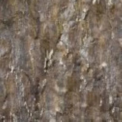 Пробковый пол с дизайном под дерево