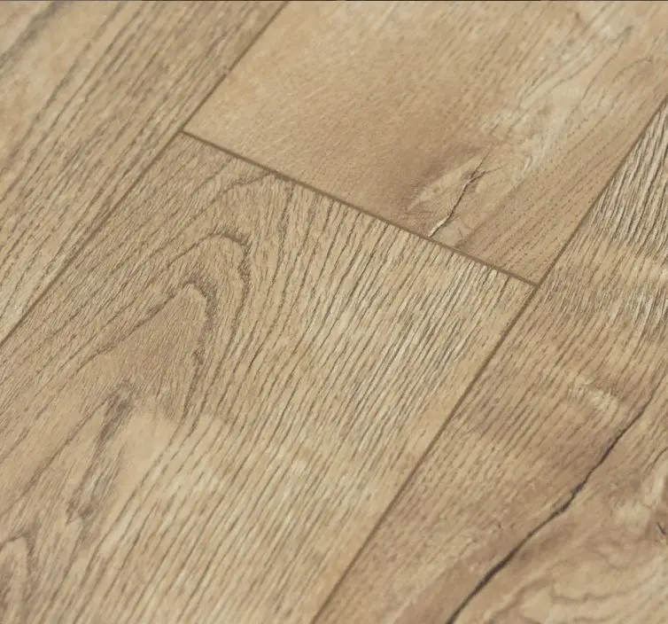 Сосна княжеская в квартире