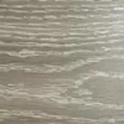 FP0031 Дуб Перенейский в квартире