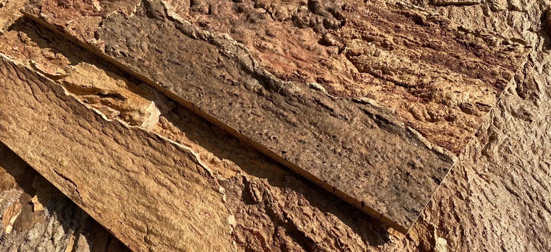 Дизайнерские пробковые панели Fomentarino Vero