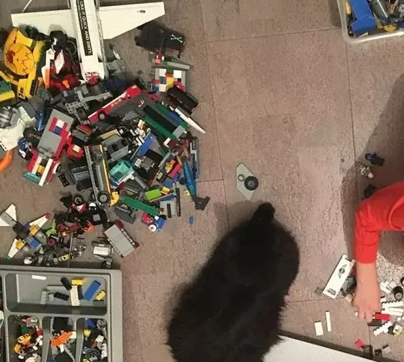 6 мм клеевой пробковый пол WICANDERS AJ2R002 Identity Tea в интерьере