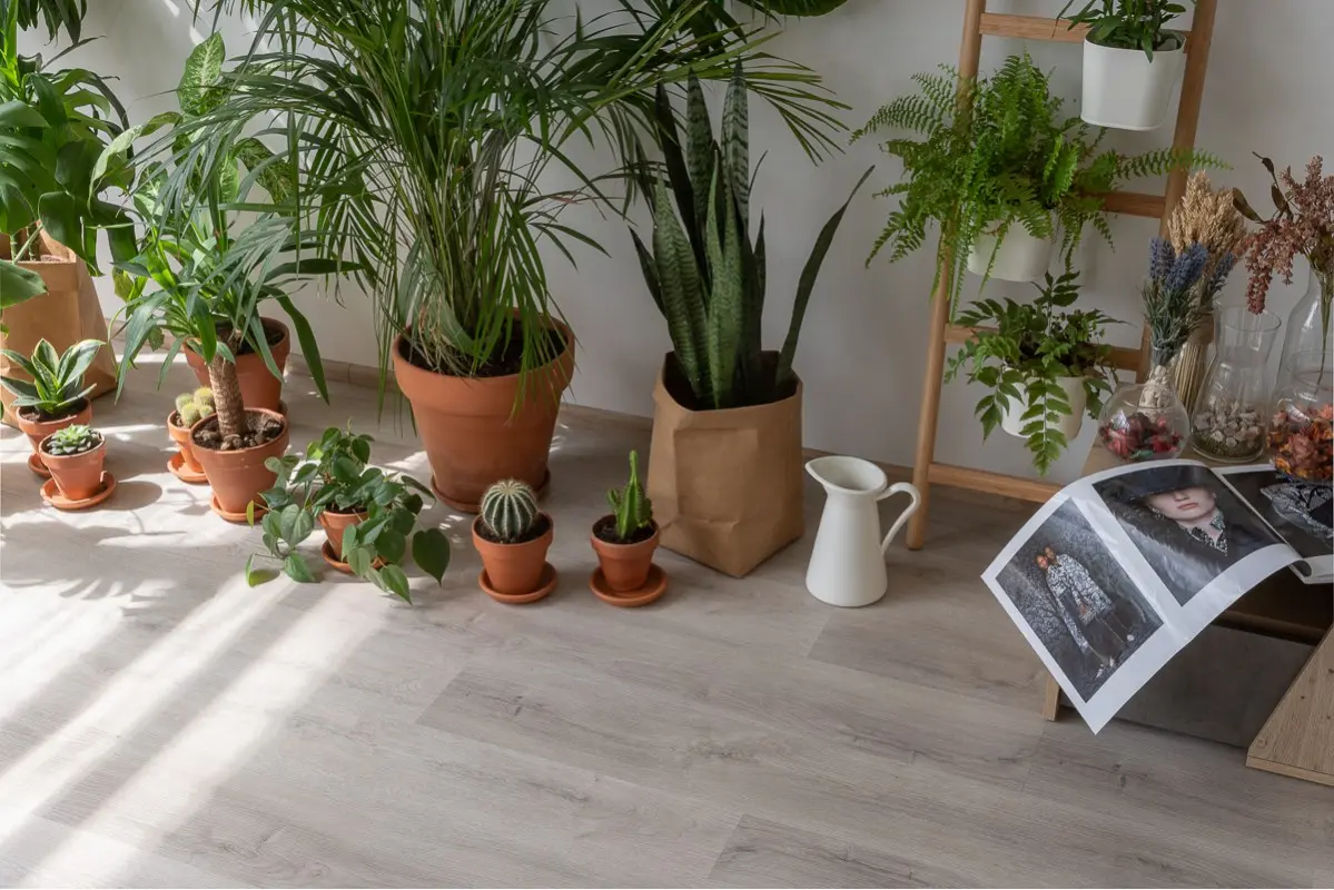 20468 Дуб Ален для ванной комнаты