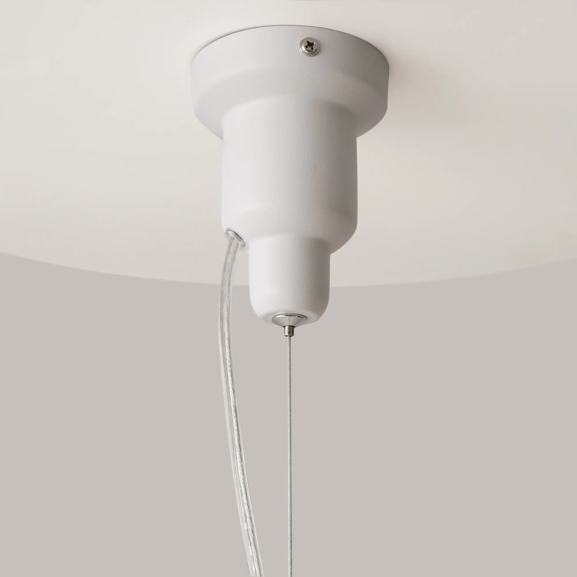 Подвесной светильник Maytoni P534PL-01W