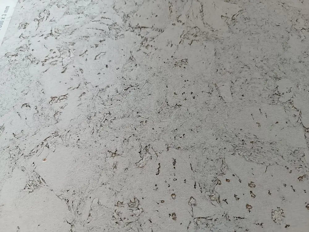 Пробковые панели Corkstyle Vico Snow клеевые Португалия