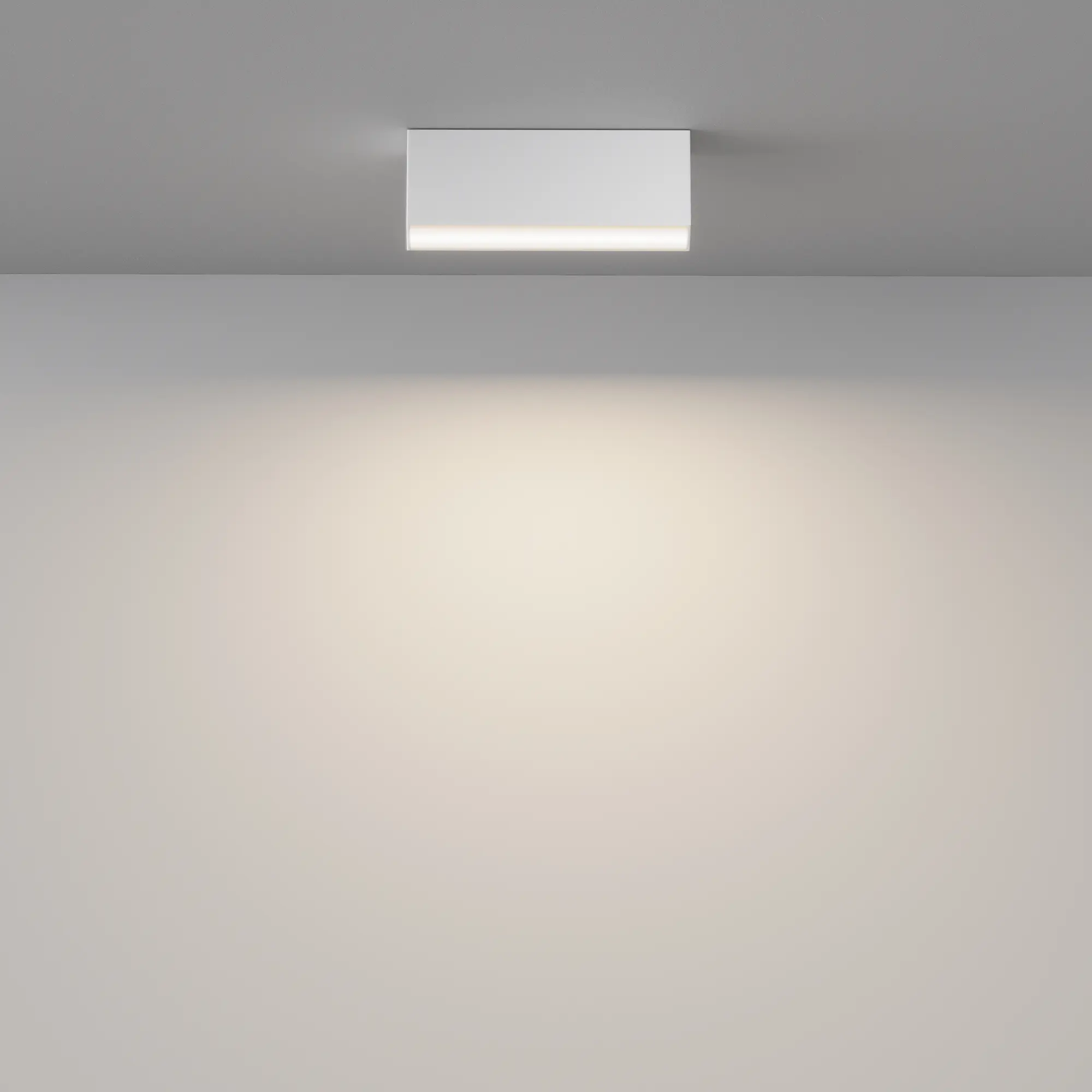 Потолочный светильник Technical C068CL-12W3-6K-W