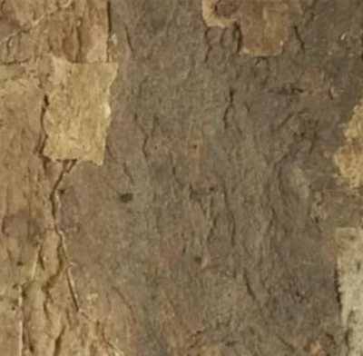 Настенная пробка Wicanders YR 02 001 Horta Португалия